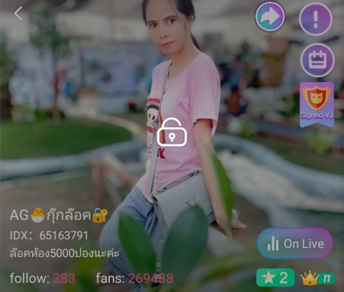กุ๊กล๊อค IDX 65163791 mlive